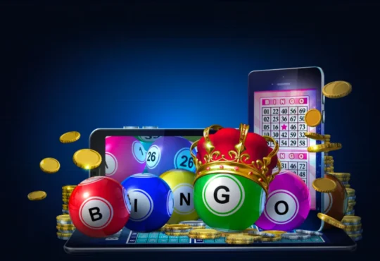 What Are The Bingo Regulations in India?