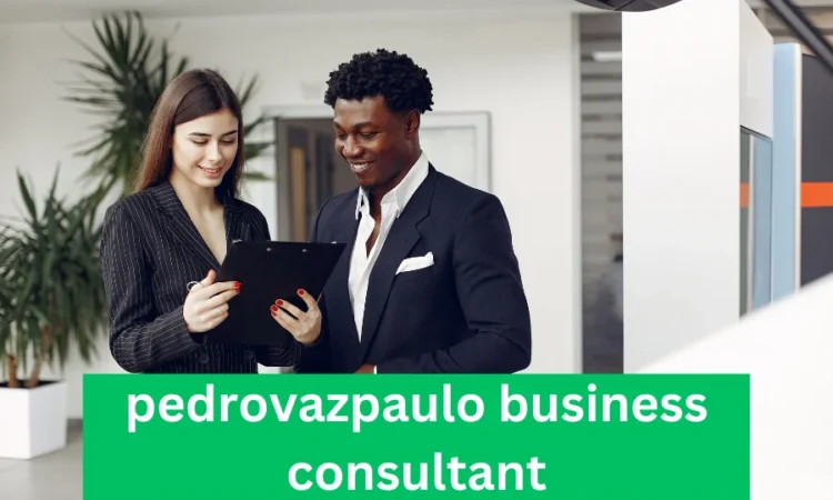 pedrovazpaulo business consultant